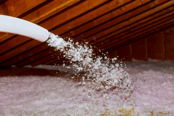 Types of Insulation We Offer in Snohomish, WA