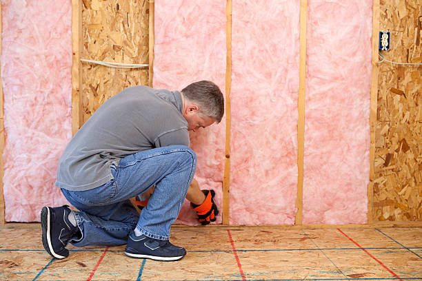 Types of Insulation We Offer in Snohomish, WA