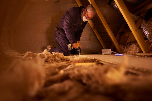 Professional Insulation Contractor in Snohomish, WA